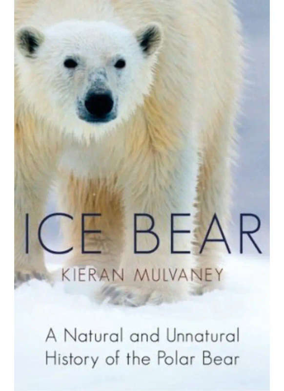 Ice Bear