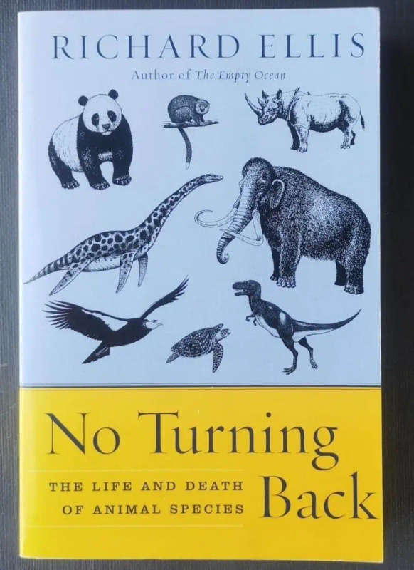 No turning back