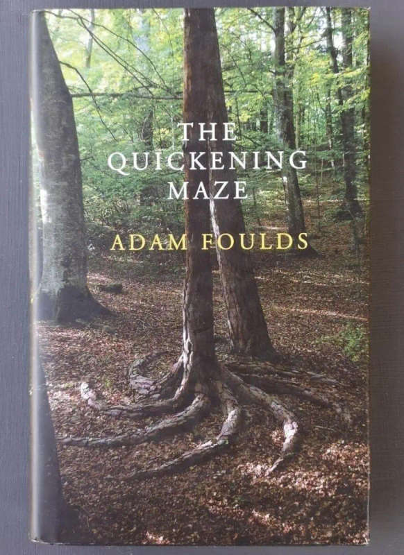 The Quickening Maze (Medium Hardcover)