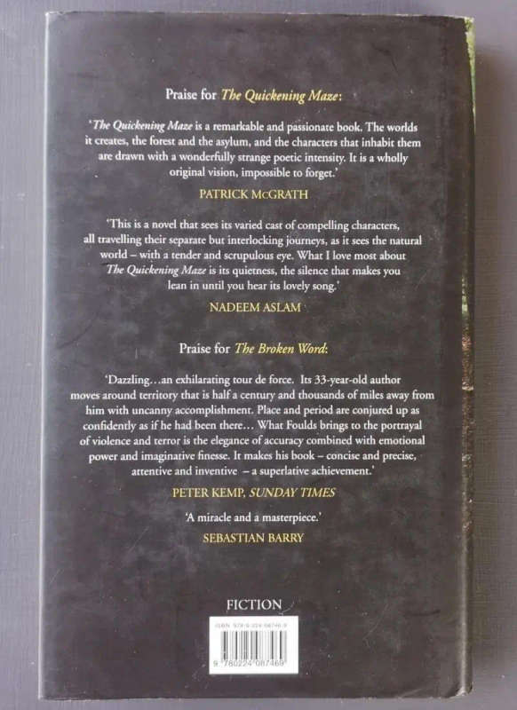 The Quickening Maze (Medium Hardcover)