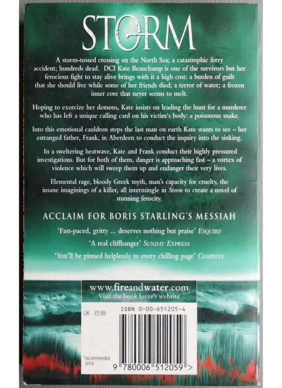 Storm (Paperback)