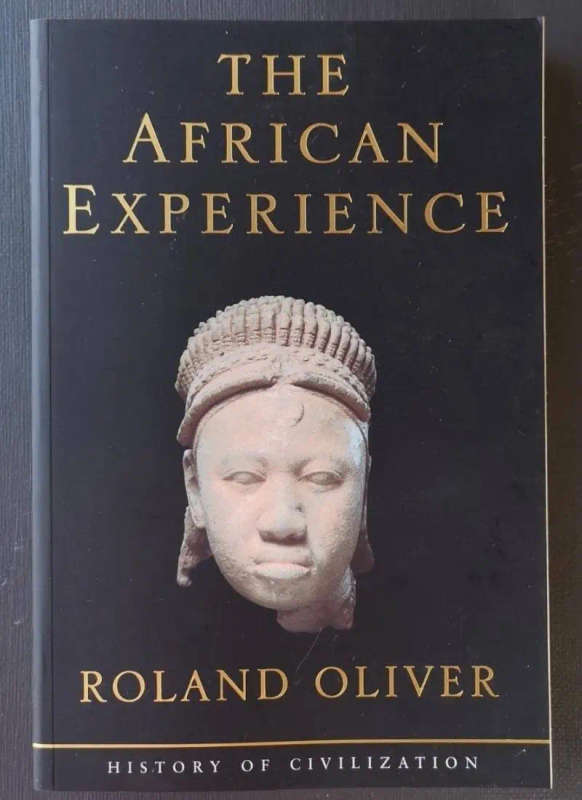 The African Experience