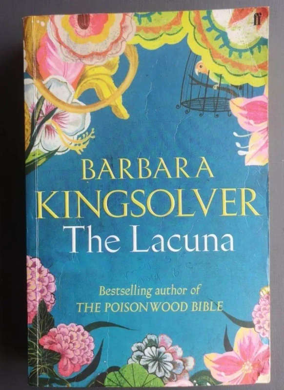 The Lacuna (Large Softcover)