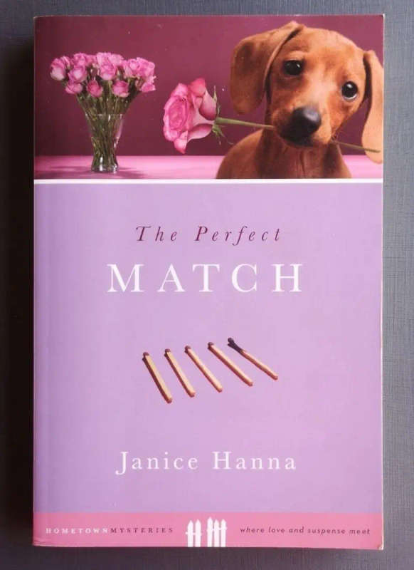 The Perfect Match (Medium Softcover)