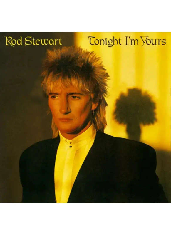 Rod Stewart - Tonight I'm Yours (CD)