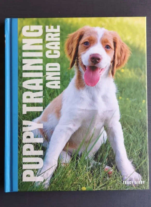 Puppy Training and Care