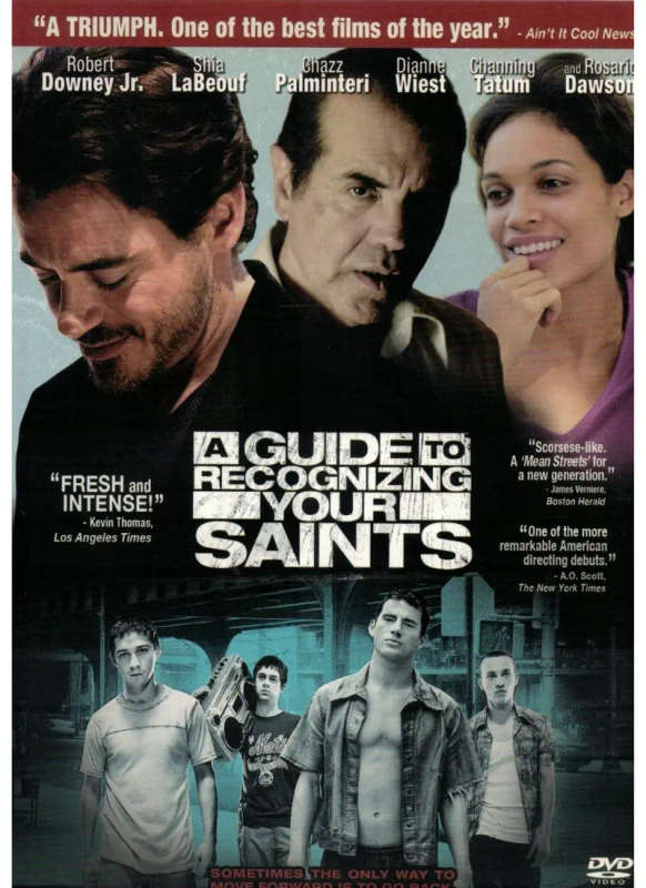 A Guide to Recognizing Your Saints (DVD)