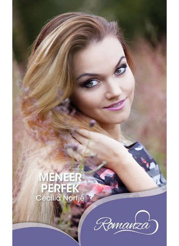 Meneer Perfek