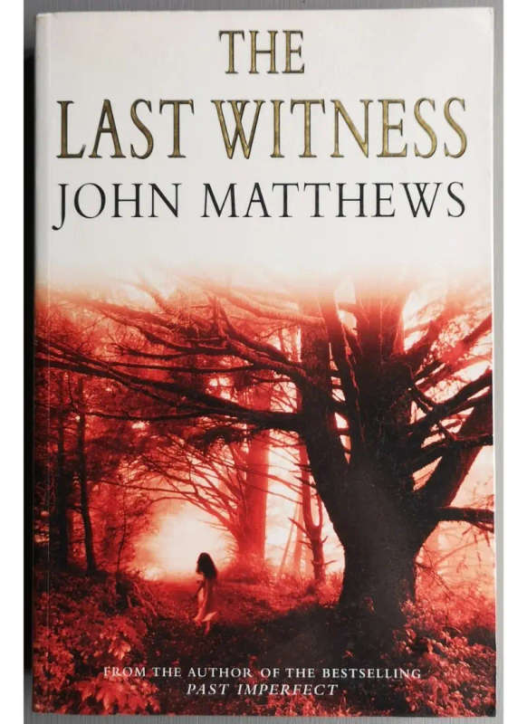 The Last Witness (Large Softcover)