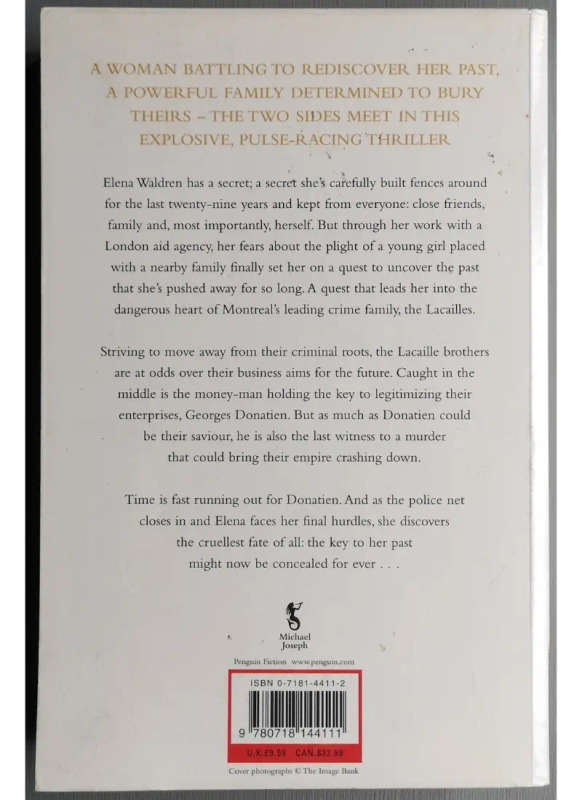 The Last Witness (Large Softcover)