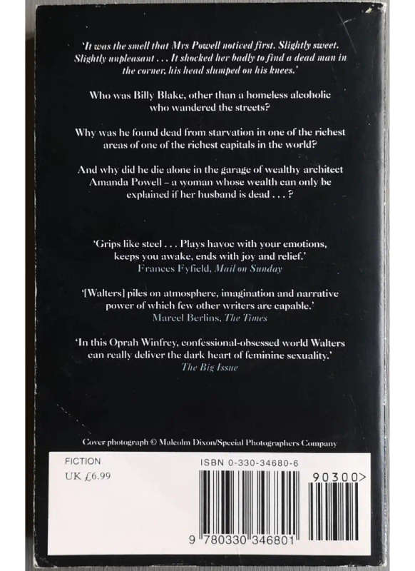 The Echo (Paperback)