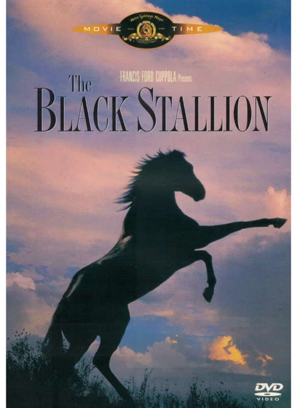 Black Stallion (DVD)