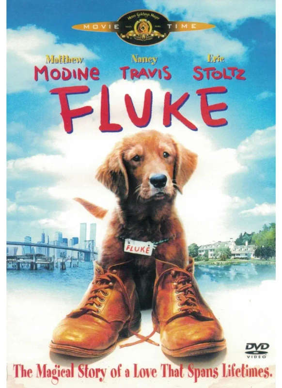 Fluke (DVD)