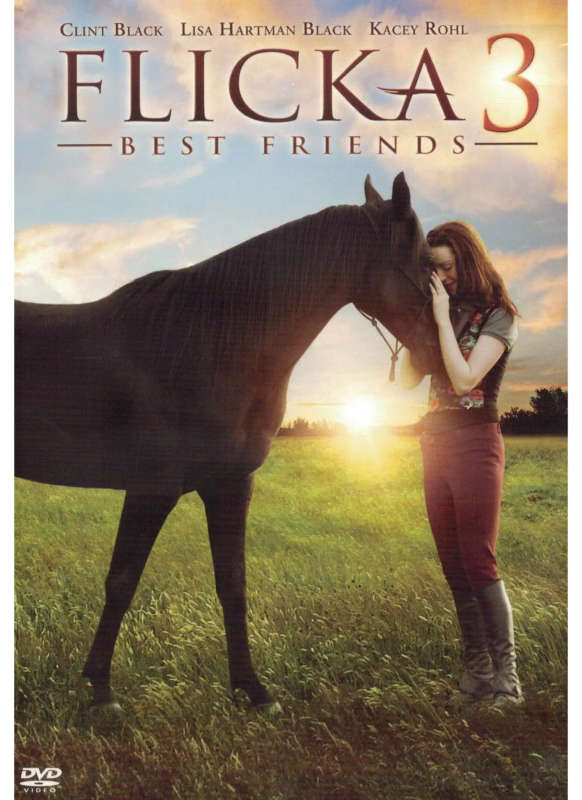 Flicka 3 (DVD)
