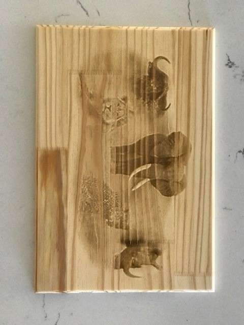 Wooden Cutting Board B5 Scatter 400mm x 300mm