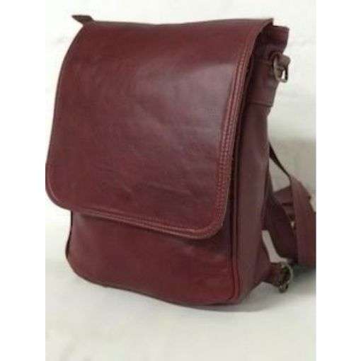 2 in 1 A4 Messenger/ Backpacks
