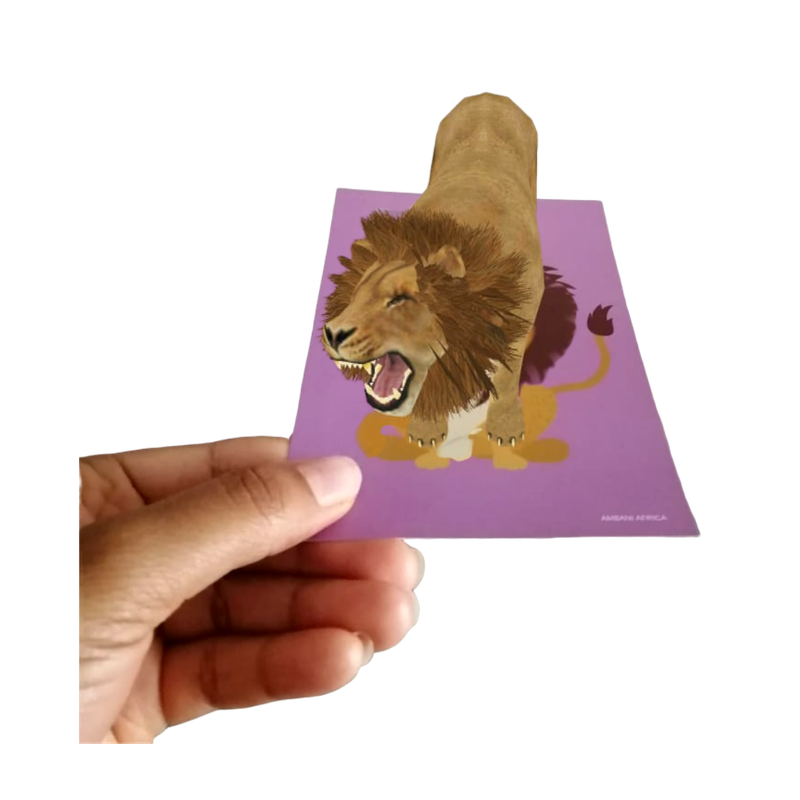 Language Learning Flashcards