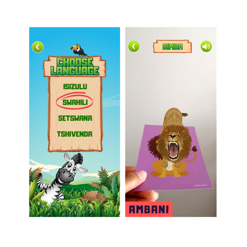 Language Learning Flashcards