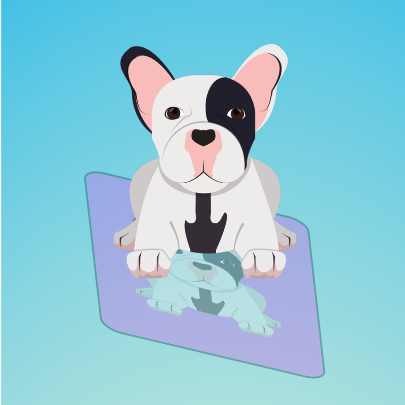 Language Learning Flashcards