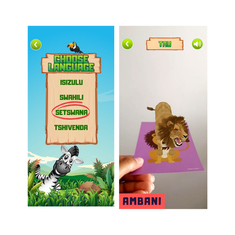 Language Learning Flashcards