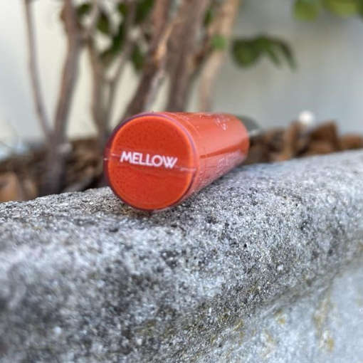 Ajeless Lip Gloss