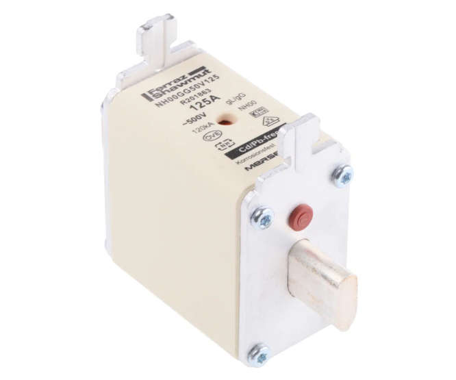 125A NH FUSE 500VAC NH00 52.8x29.5x47.5mm R201863