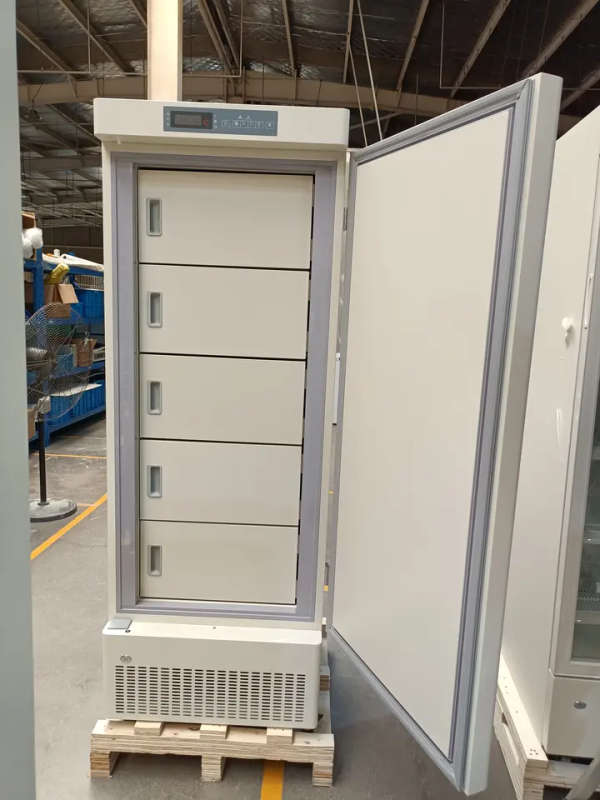 Laboratory Pharmacy Freezer -25°C 270L