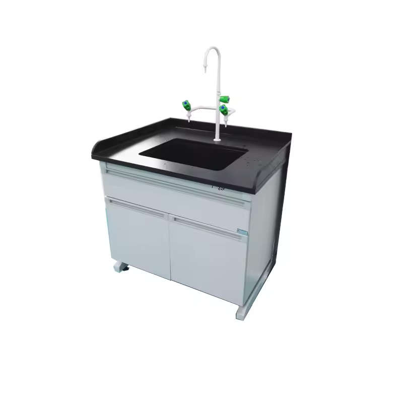 Laboratory Sink With Faucet