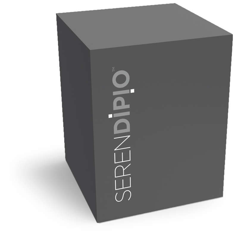 Serendipio Sheridan Vacuum Cup - 300ml - Silver