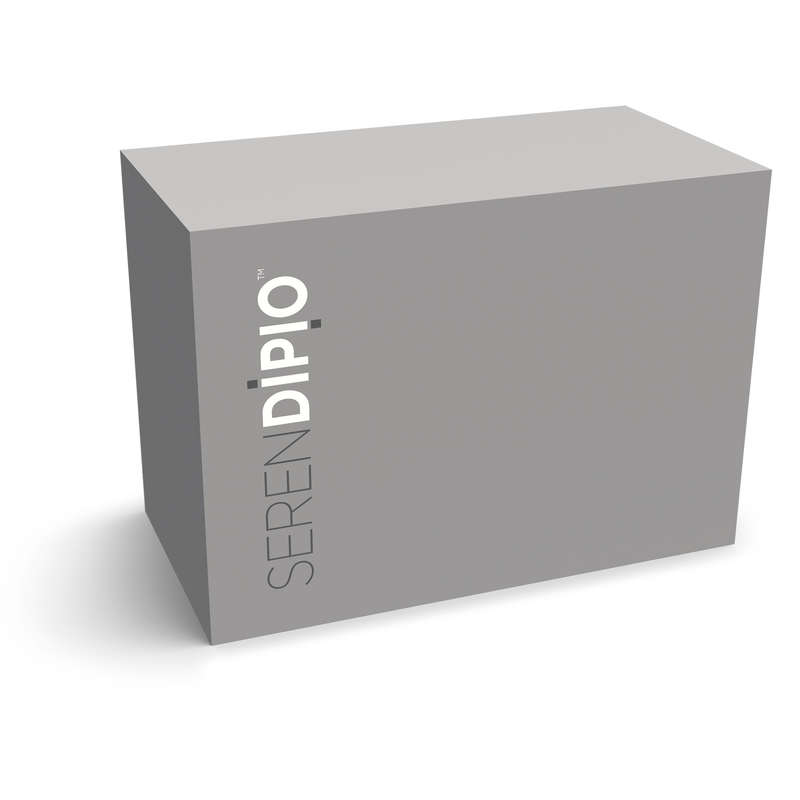 Serendipio Sheridan Cup Duo Set - 300ml - Silver