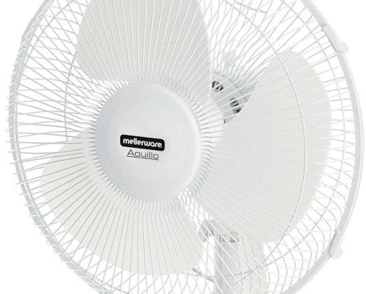 Fan Desktop Plastic White 30cm 40W "Aquillo"
