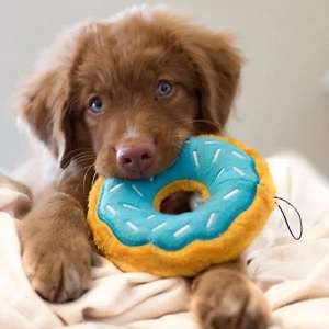 Regular Donutz - Blueberry