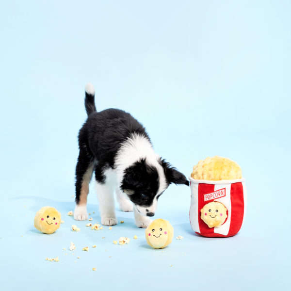 Popcorn Bucket