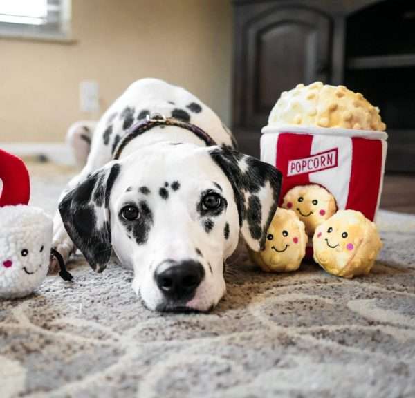 Popcorn Bucket