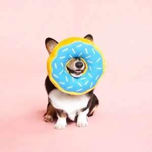 Jumbo Donutz - Blueberry