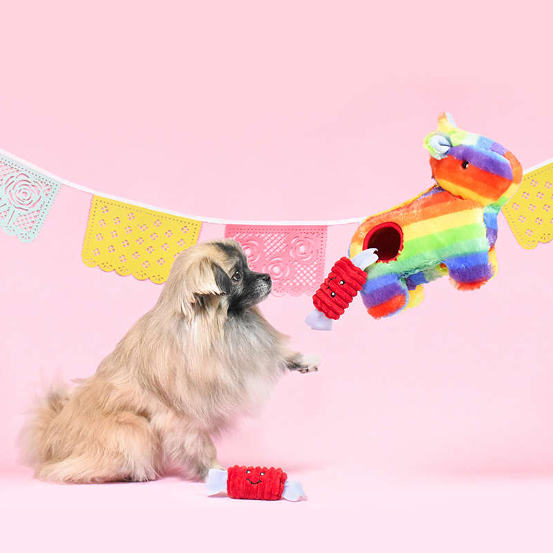 Pinata Burrow