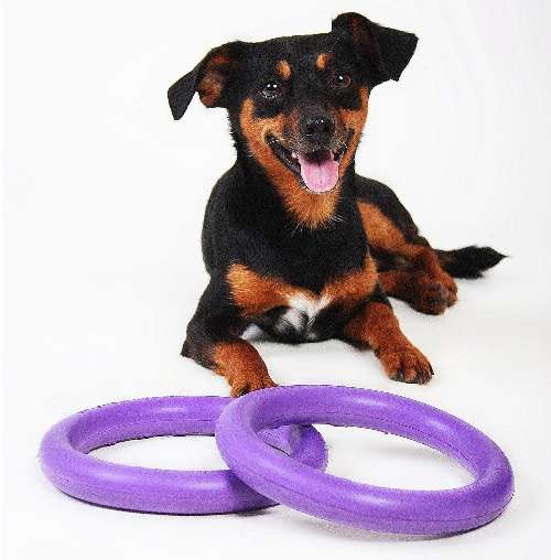 PULLER MINI (Two Rings)