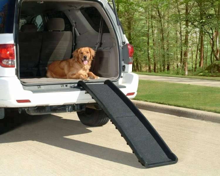 Folded Plastic Pet Ramp
