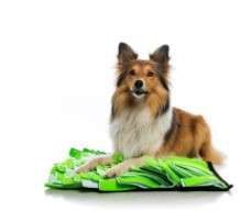 Snuffle Mat White / Green - Fleece length approx 14.5cm