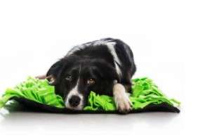 Snuffle Mat Green - Fleece length approx 9cm