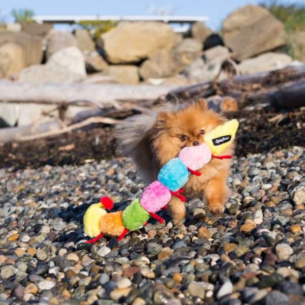 Zippy Caterpillar Large w/ Squeakers