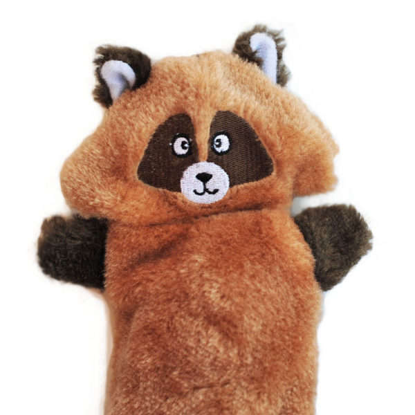 Zingy Raccoon