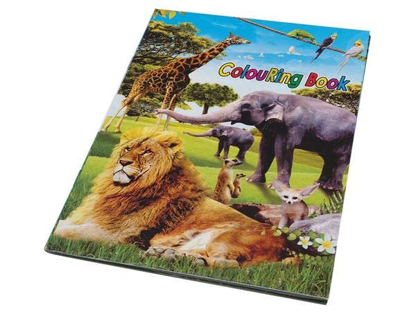 Wildlife Stickers & Colouring Book A5