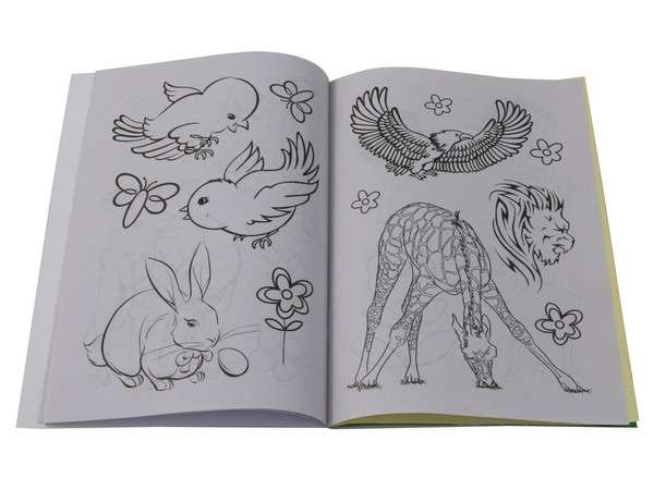 Wildlife Stickers & Colouring Book A5