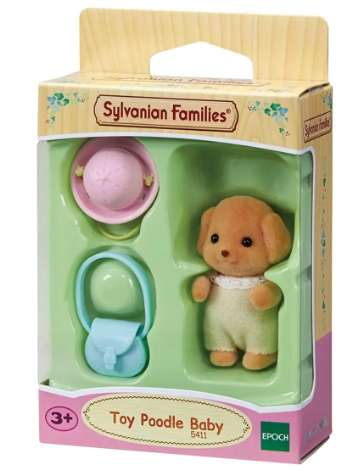 Toy Poodle Baby 2022 Version