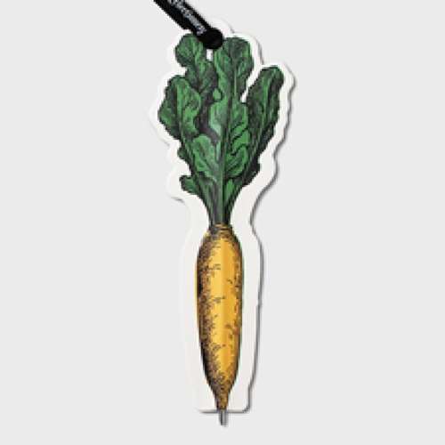 ECLECTIONERY BOOKMARK PENS CARROT