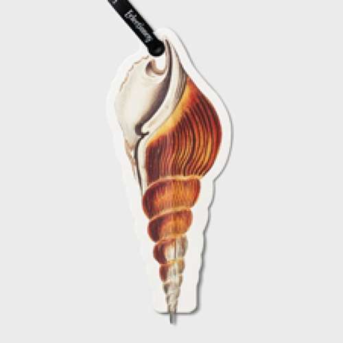 ECLECTIONERY BOOKMARK PENS SHELL