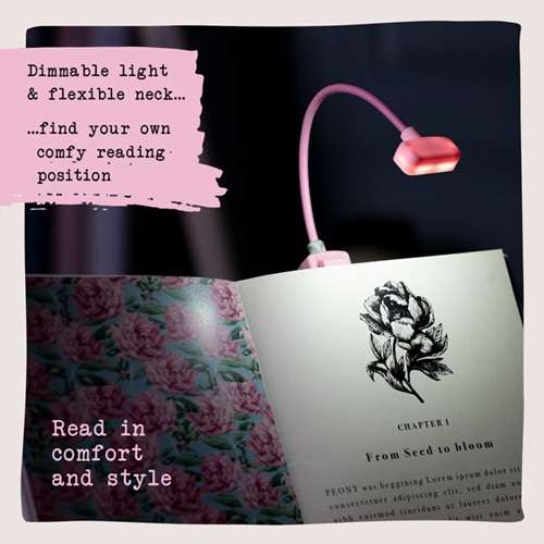 BOOK LOVER'S READING LIGHT ALICE