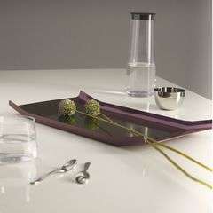 ARRAN,TRAY PGR