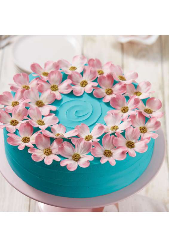 Wilton Aluminum Round Cake Pan ? 20.3 x 7.62 cm